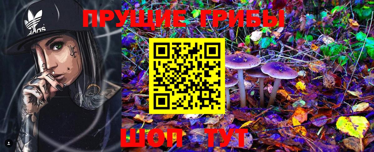 Слободской  Галлюциногенные грибы MAGIC MUSHROOMS  Вход с VPN  Псилоцибиновые грибы MAGIC MUSHROOMS 